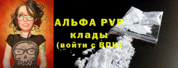 гашик Абинск