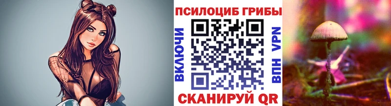 нарко площадка наркотические препараты  Закаменск  Псилоцибиновые грибы Magic Shrooms  наркота 