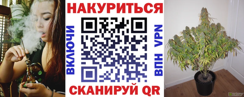 купить наркоту Закаменск Конопля планчик